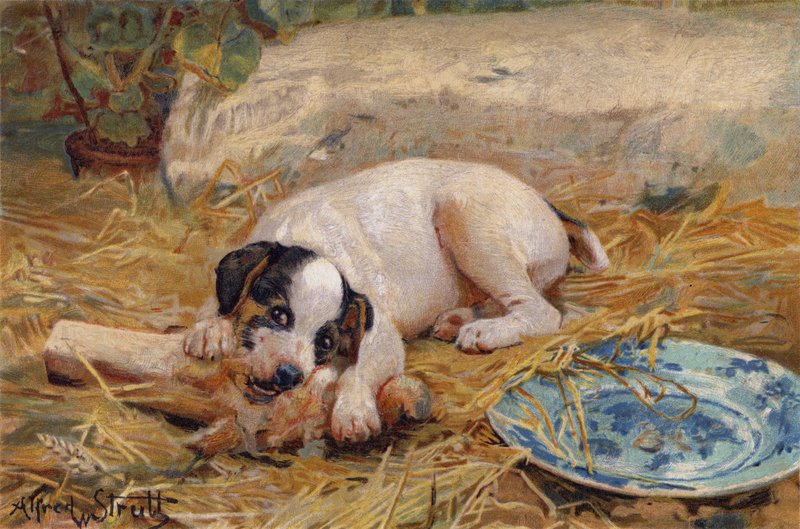 Mitä lähempänä luuta, sitä makeampi liha (chromolitho) tekijältä Alfred William Strutt