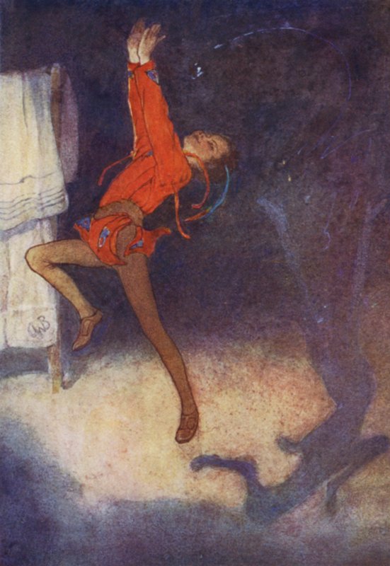 Varjo piti kauniisti (väri litho) tekijältä Alice Bolingbroke (after) Woodward