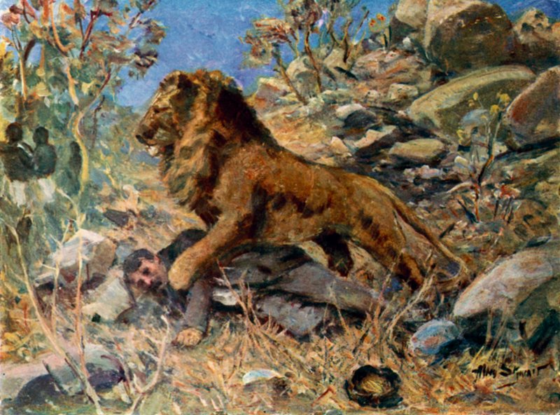 David Livingstone, Livingstone ja leijona (väri litho) tekijältä Allan (after) Stewart