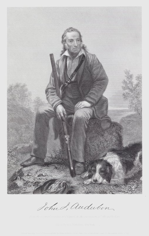 John James Audubon (kaiverrus) tekijältä Alonzo (after) Chappel