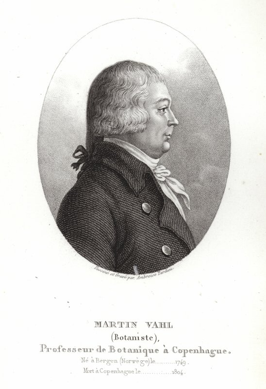 Martin Vahl tekijältä Ambroise Tardieu