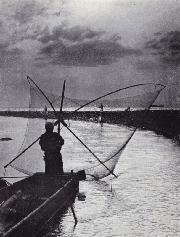 Japanilainen kalastaja piirtää verkkoaan (m/w kuva) tekijältä American Photographer (after)