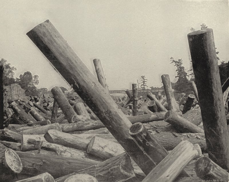 Log Jam St Croix Riverissä, Wisconsinissa (m/w kuva) tekijältä American Photographer (after)