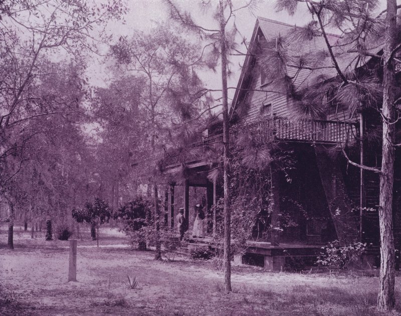 Koti Southern Pinesin varjoissa, Floridassa (m/w kuva) tekijältä American Photographer (after)