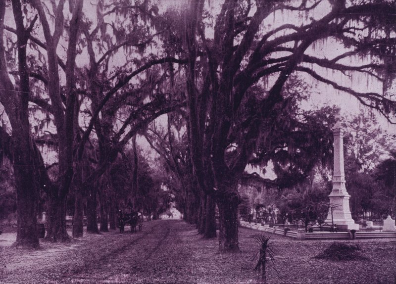 Bonaventuren hautausmaa, Savannah, Georgia (m/w kuva) tekijältä American Photographer (after)