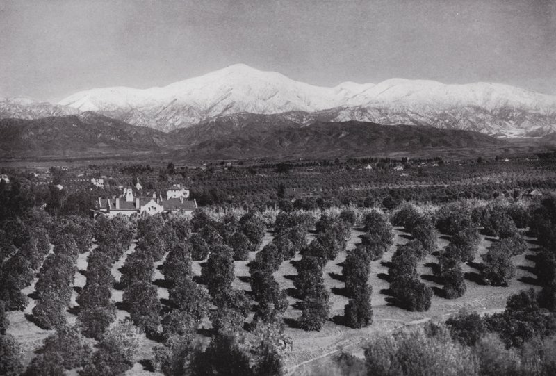 Kalifornia: Redlands, Smiley Heightsista, auringonpaiste, appelsiinitarhat ja lumiset huiput (m/w kuva) tekijältä American Photographer (after)