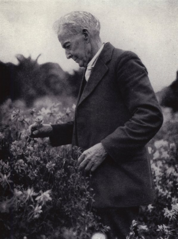 Luther Burbank entre les seves flors (foto b/n)finès tekijältä American Photographer (after)