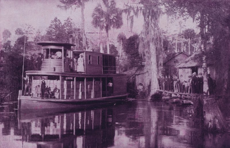 Ocklawaha-joella, Floridassa (m/w kuva) tekijältä American Photographer (after)