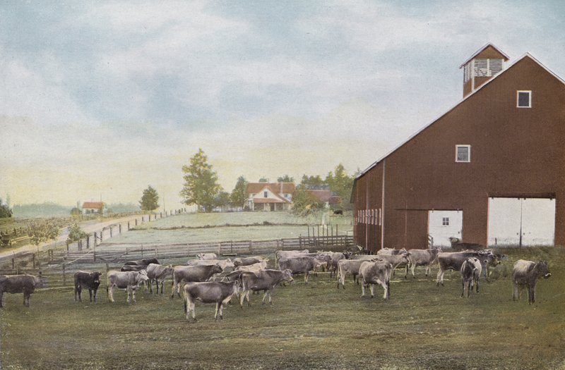 Oregon: Dairy Farm Willamette Valleyssa (kuva) tekijältä American Photographer (after)