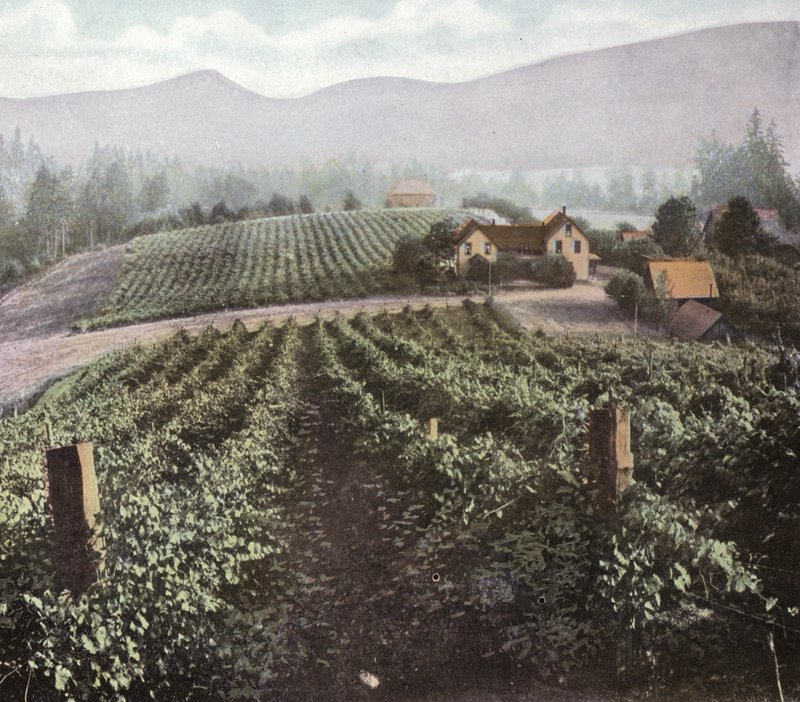 Oregon: Monipuolinen viljely Willamette Valleyssa (kuva) tekijältä American Photographer (after)