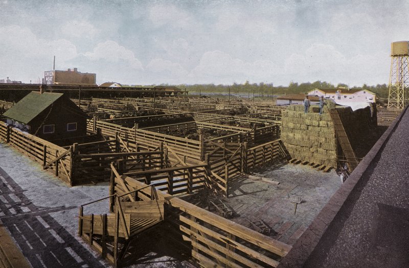 Oregon: Portland Union Stock Yards (kuva) tekijältä American Photographer (after)