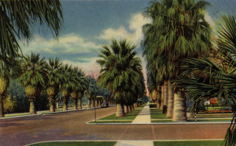 Phoenix, Arizona: North Central Avenue (kuva) tekijältä American Photographer (after)