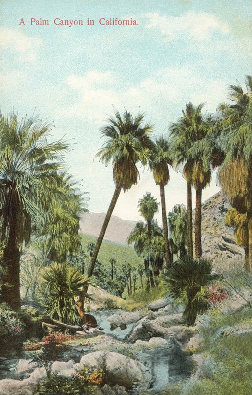 Palmukanjoni, Kalifornia, Yhdysvallat (värillinen kuva) tekijältä American Photographer