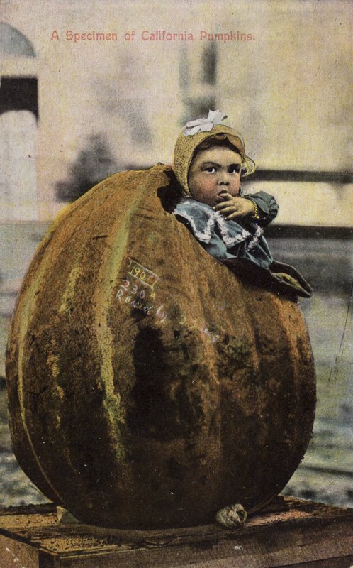 Näyte Kalifornian kurpitsoista (sävytetty kuva) tekijältä American Photographer