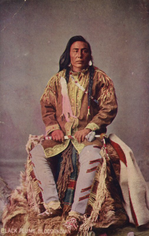Black Plume, Blood Indian (kuva) tekijältä American Photographer