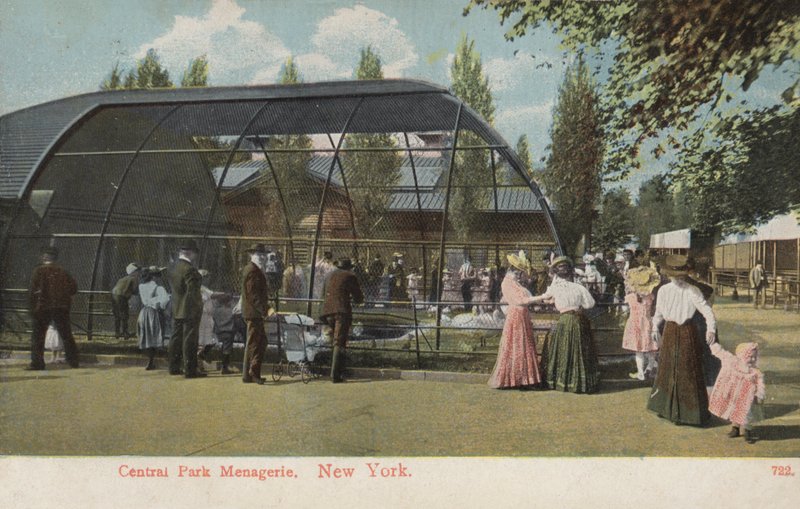 Central Park Menagerie, New York (kuva) tekijältä American Photographer