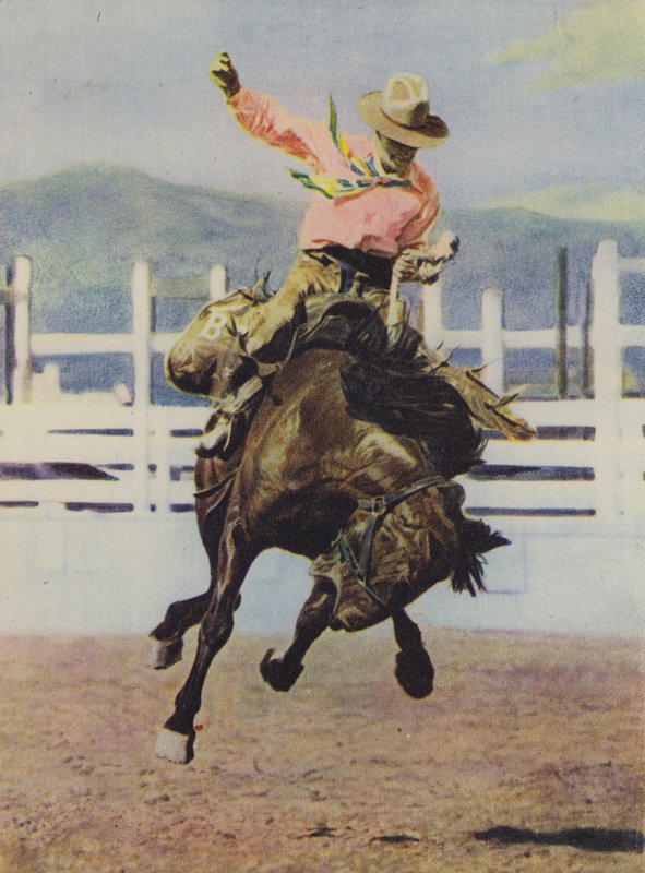 Cowboy murtaa hevosen tekijältä American Photographer