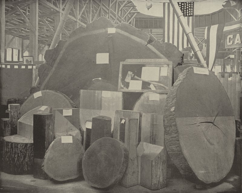 Gladstones Axe tekijältä American Photographer