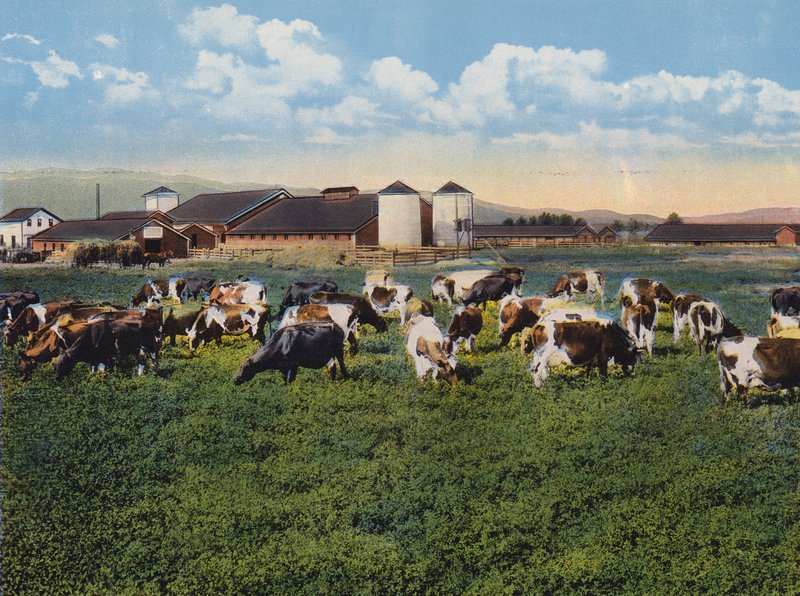 H R Timm Dairy, Dixon, Kalifornia (värikuva). tekijältä American Photographer