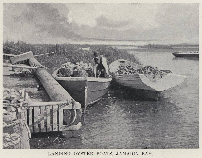 Landing Oyster Boats, Jamaica Bay (m/w kuva) tekijältä American Photographer