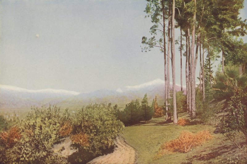 "Old Baldy", Smiley Heights, Kalifornia (värillinen kuva) tekijältä American Photographer
