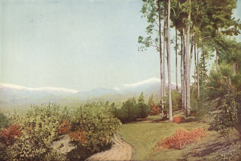 Old Baldy, Smiley Heightsista, Kaliforniasta (värillinen kuva) tekijältä American Photographer