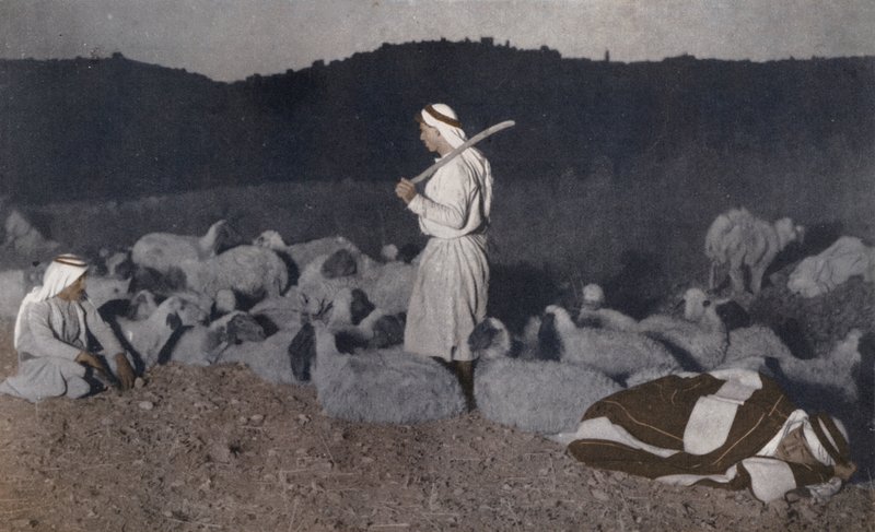 Palestiinalaiset paimenet katselevat laumaansa yöllä (värillinen kuva). tekijältä American Photographer