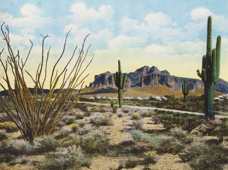 Superstition-vuori ja aavikko, "Apache Trail" (värikuva) tekijältä American Photographer