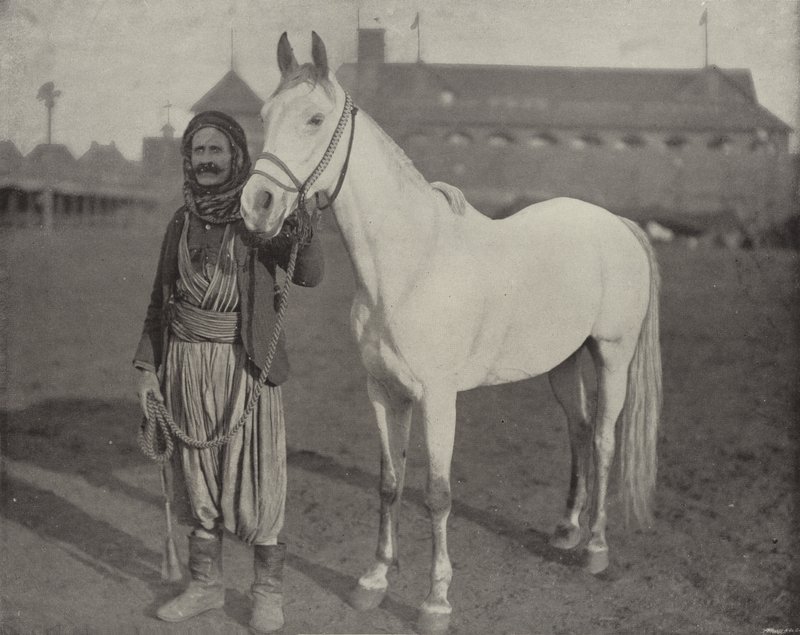 Beduiinit-palkinto Steed tekijältä American Photographer