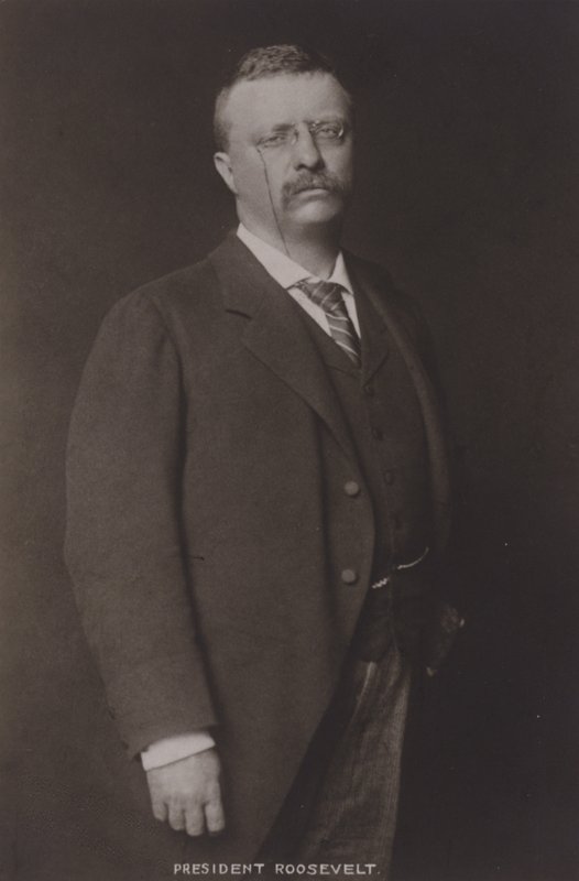 Theodore Roosevelt, 26. Yhdysvaltain presidentti, 1904 tekijältä American Photographer