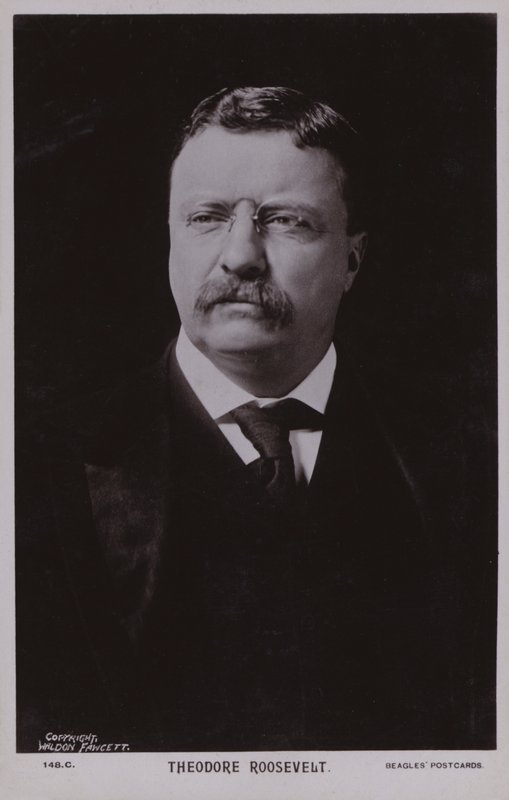 Theodore Roosevelt, yhdysvaltalainen poliitikko ja Yhdysvaltain 26. presidentti (s/w-kuva). tekijältä American Photographer
