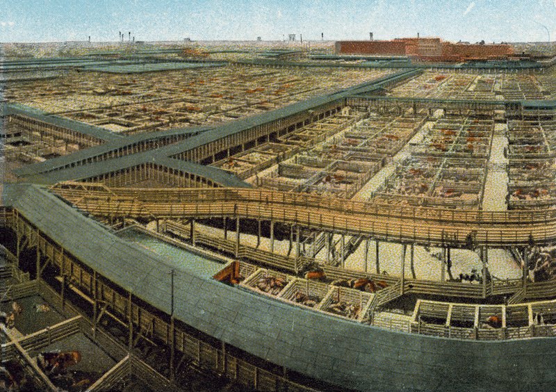 Union Stock Yards (värillinen kuva) tekijältä American Photographer