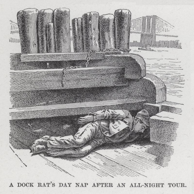 Dock Rat