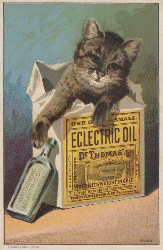 Mainos yritykselle Dr Thomas" Eclectric Oil tekijältä American School