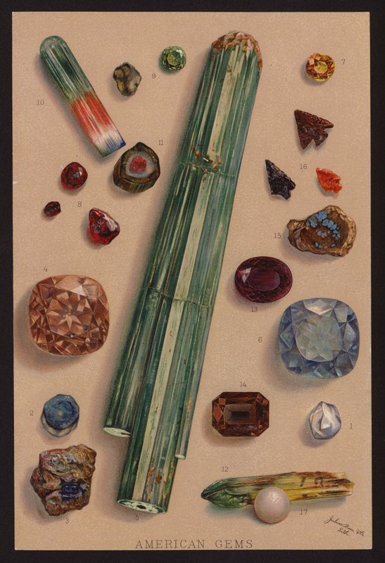 Amerikkalaiset jalokivet (värilitografia) tekijältä American School