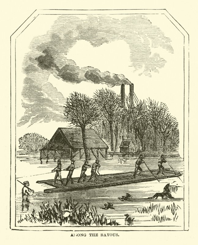 Bayousin joukossa, maaliskuu 1863 tekijältä American School