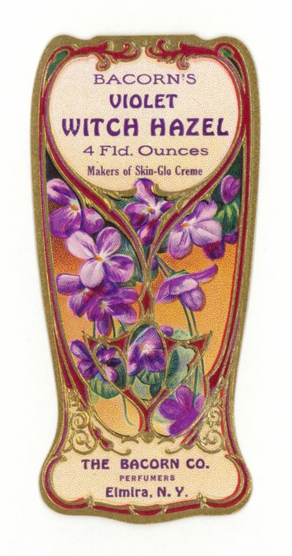 Bacorns Violet Witch Hazel etiketti tekijältä American School
