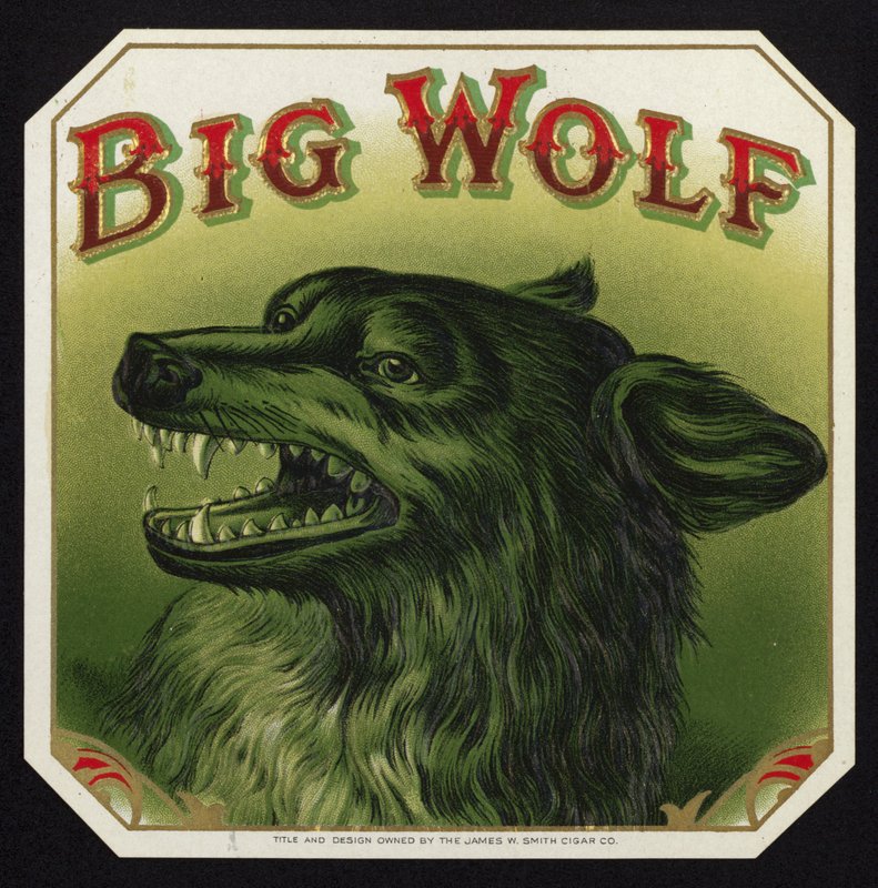 Black Wolf paljastaa hampaat tekijältä American School
