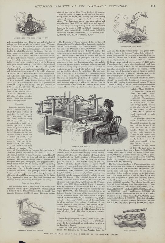 Brasilian silkkiäistoukkien näyttely Machinery Hallissa, Centennial Exposition, Philadelphia, Pennsylvania, USA tekijältä American School