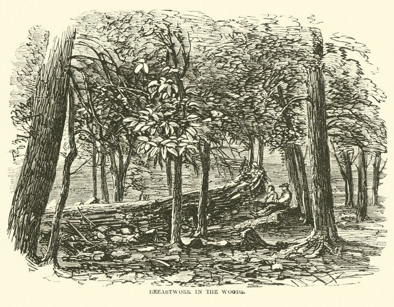 Rintatyöt metsässä, heinäkuu 1863 tekijältä American School