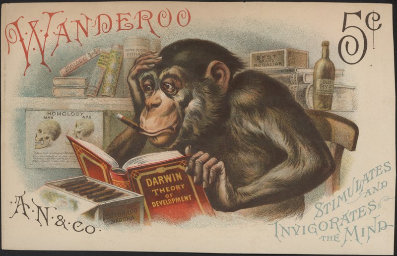 Charles Darwin, Kehitysteoria (eli evoluutio) tekijältä American School
