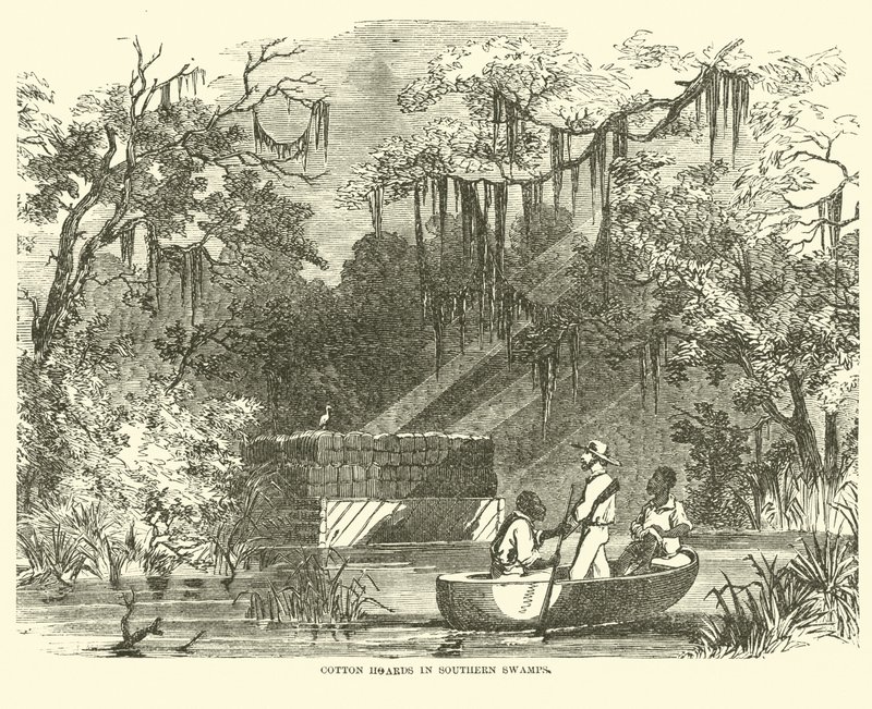 Puuvillavarastot Southern Swampsissa, heinäkuu 1862 tekijältä American School