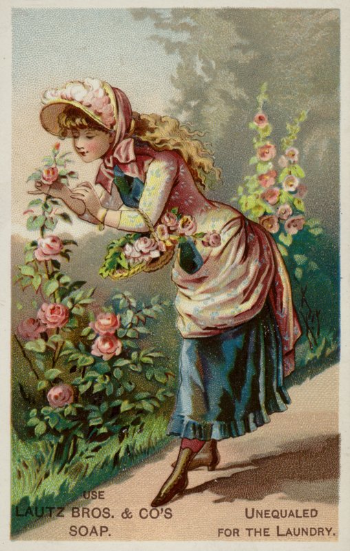 Tyttö Smeling The Roses tekijältä American School