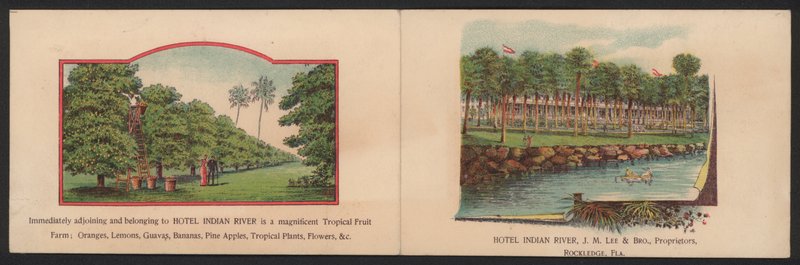 Hotel Trade Card (värillinen kaiverrus) tekijältä American School