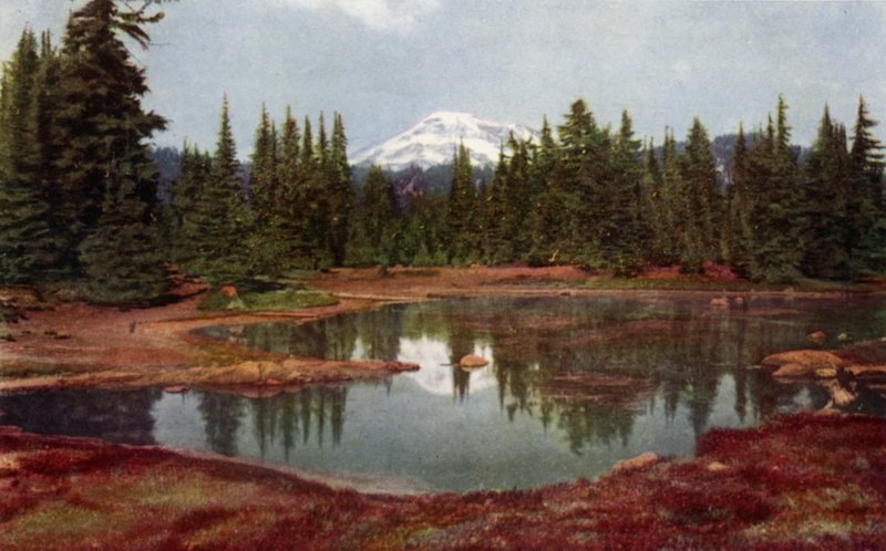 Oregonin vuoristossa (väri litho) tekijältä American School