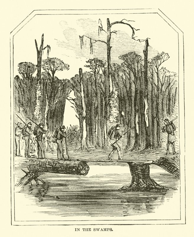 Suolla maaliskuussa 1863 tekijältä American School