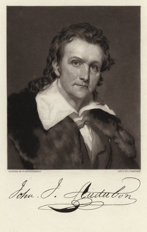 John James Audubon tekijältä American School