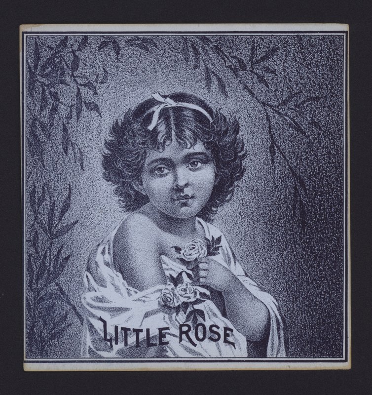 Little Rose, sikari etiketti (litho) tekijältä American School
