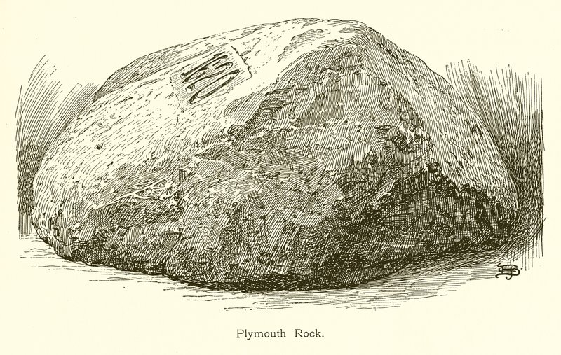 Plymouth Rock tekijältä American School