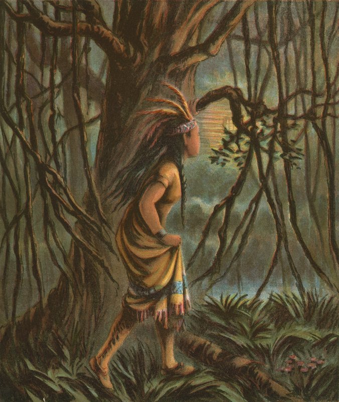 Pocahontas tekijältä American School